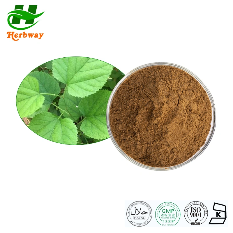 Herbway Herb Extract Health Care Product Mulberry Leaf Powder/Mulberry Extract