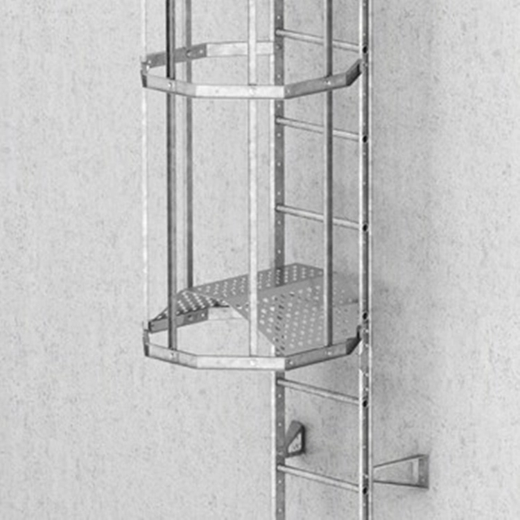 Q355b Metal Tower Internals Steel Structure Cage Ladders