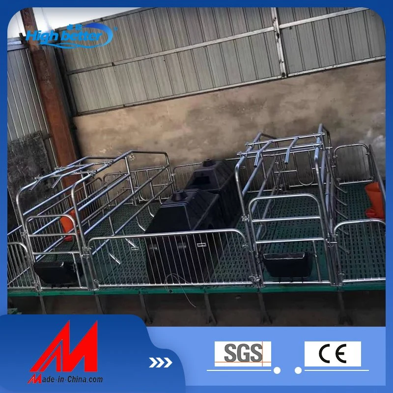 Hot-Selling Pig Bed Hot-DIP Galvanized Pig Cages, Positioning Railings for Farrowing Pigs and Sows