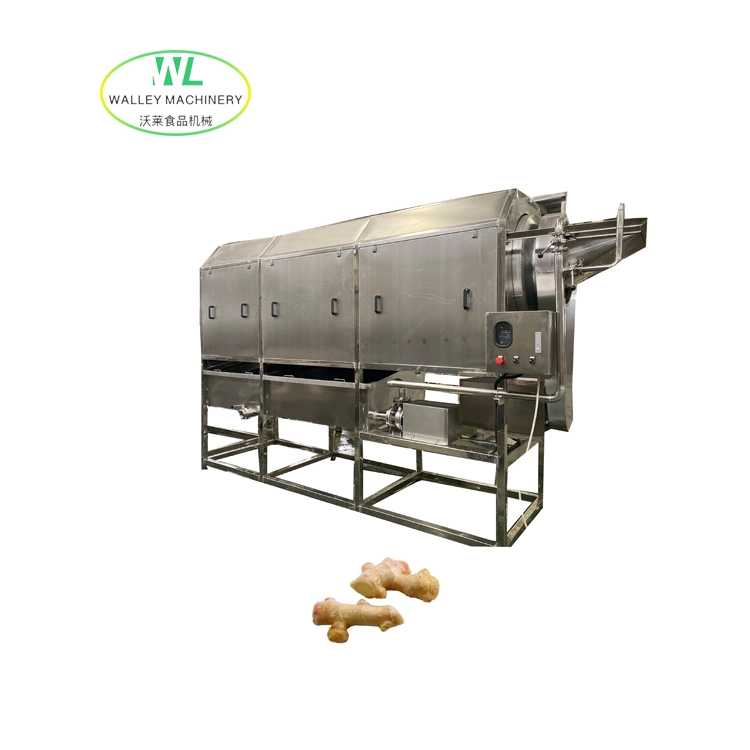 High Rebuy Standard Roller Type Ginger/Artichokes Cleaning Equipment