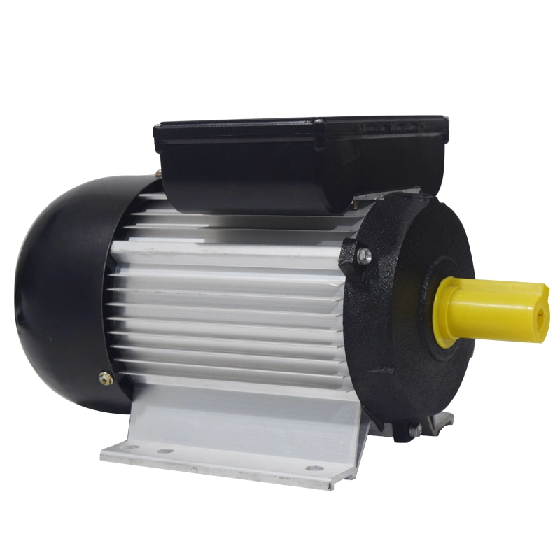 Single-Phase Asynchronous Electric Motor Yc/Yl Series Motor