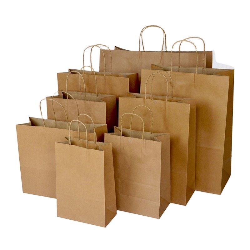 Biodegradable Blank Printing Brown Promotion Shoes Cloths Carrier Twisted Handle Paper Bag