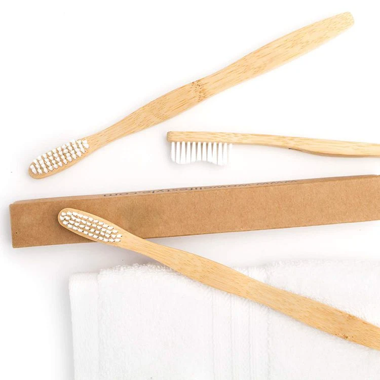 Ecco Friendly bambou produits brosse à dents de Bambou 100% nature organique biodégradable