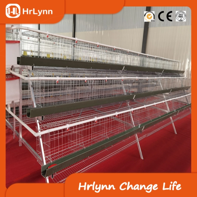 Large Farm Livestock and Poultry Breeding Equipment a Type Chicken Cage