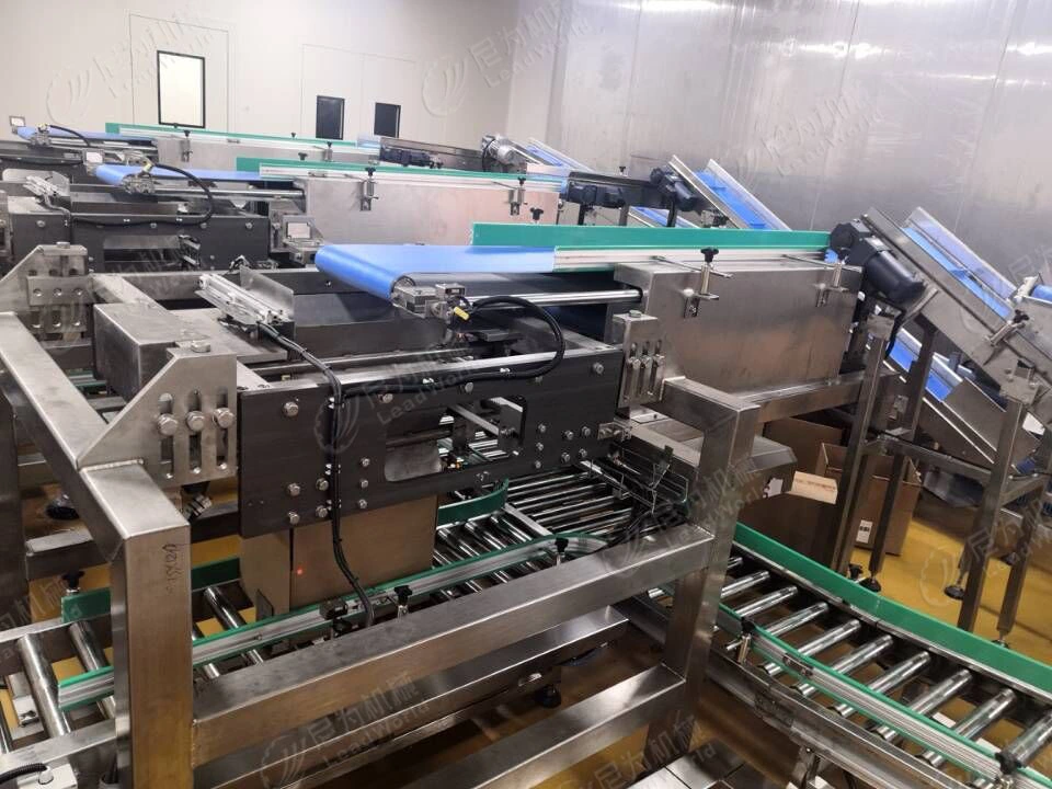 Automatic Case Packer Horizontal and Vertical Carton Bagged Meat Free Fall Packing Machine