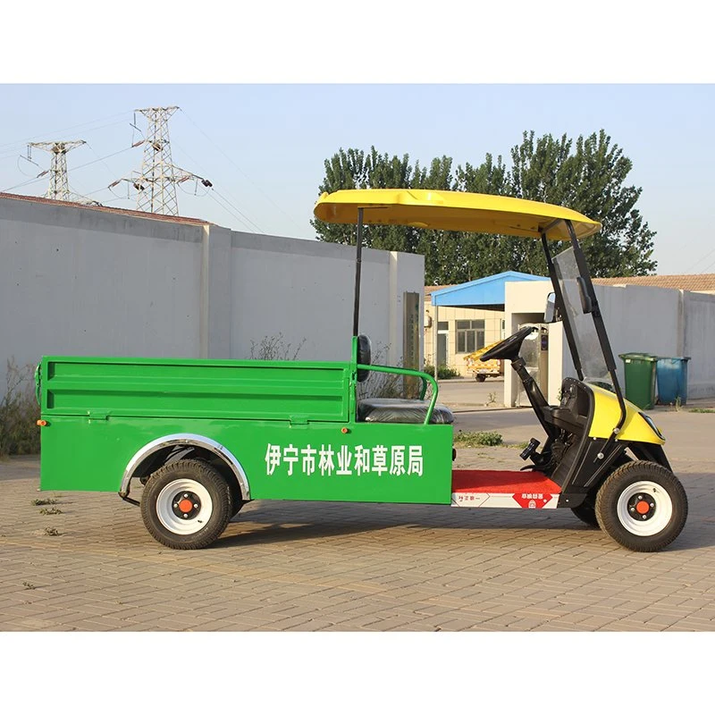 China Manufacturer Cheap 2 Seat Electric Golf Car with Cargo Bucket