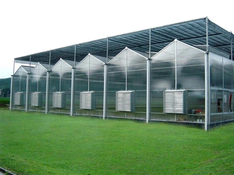 Landwirtschaftliche/kommerzielle Mehrspan-Polycarbonat/PC-Board/Glas/Plastikfolie pflanzliches Gewächshaus