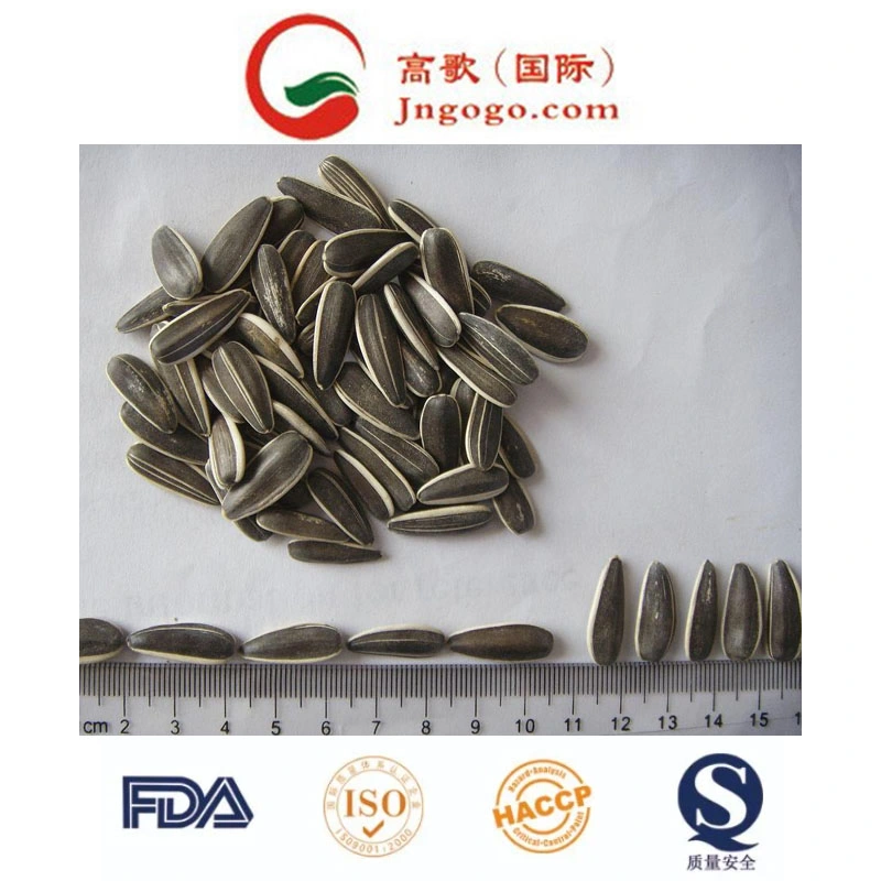 Top Sell Sunflower Seeds Sunflower Kernels 361/363/601