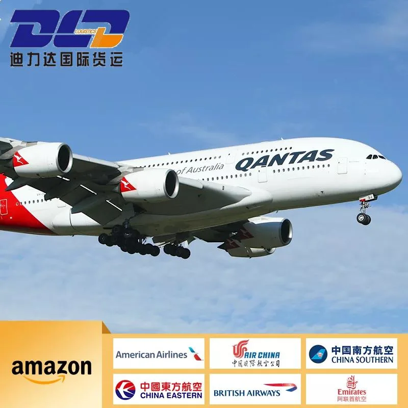 Air Freight / From Shenzhen to Ireland/to The Airpor