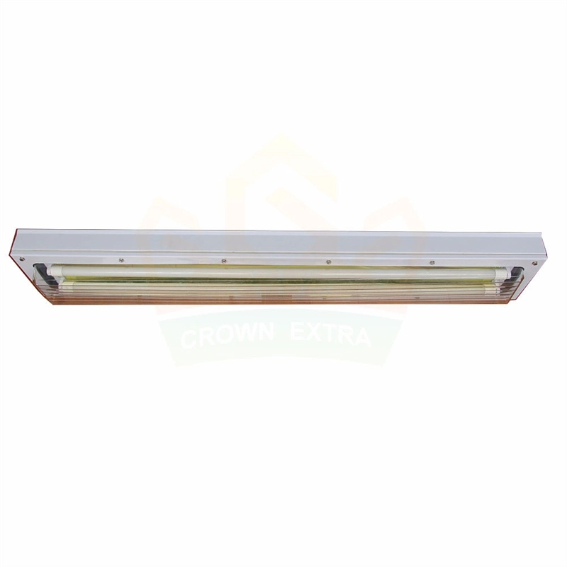 Atex Explosion-Proof Clean Lamp Mine Fluorescent Factory Flame-Proof Ceiling Strip