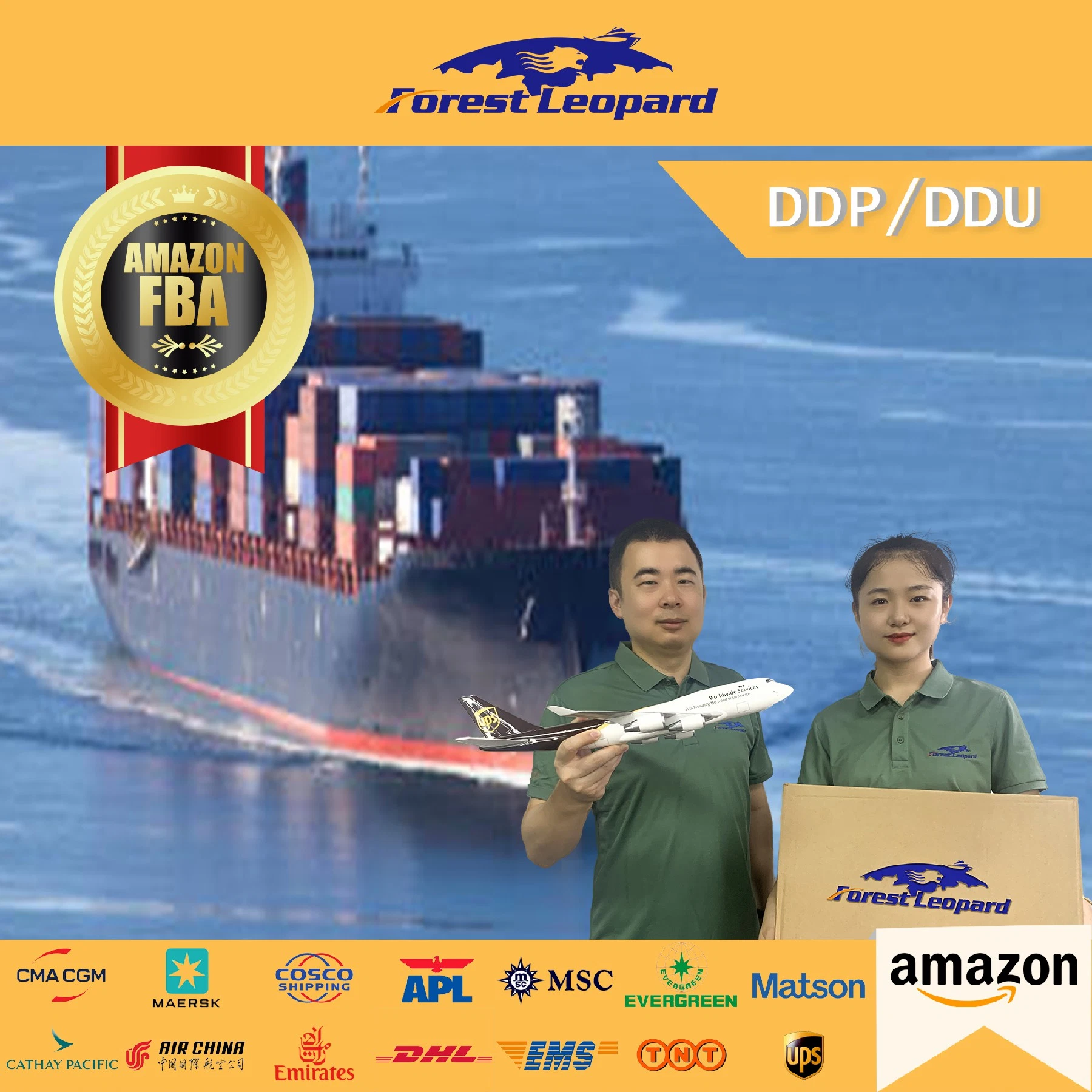 Shipping Company by Sea to Amazon Fba From China to UAE Saudi Arabia Dubai DDP Container Shipping