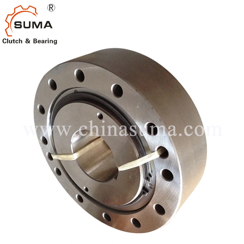 Fxm Integrated Freewheels Bearing Backstop Clutch (Sprag clutch)