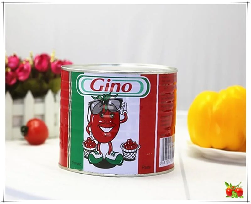 Ginny Brand Canned Tomato Paste China 2200gx6 Plus 70gx6tin Factory Price