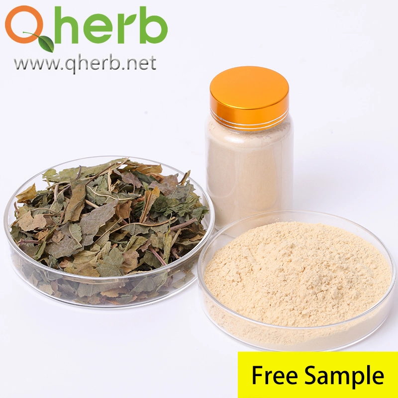 Herb Herbal Extract Natural Ginseng Root Extract Powder Immune-Enhancing in Functional Food