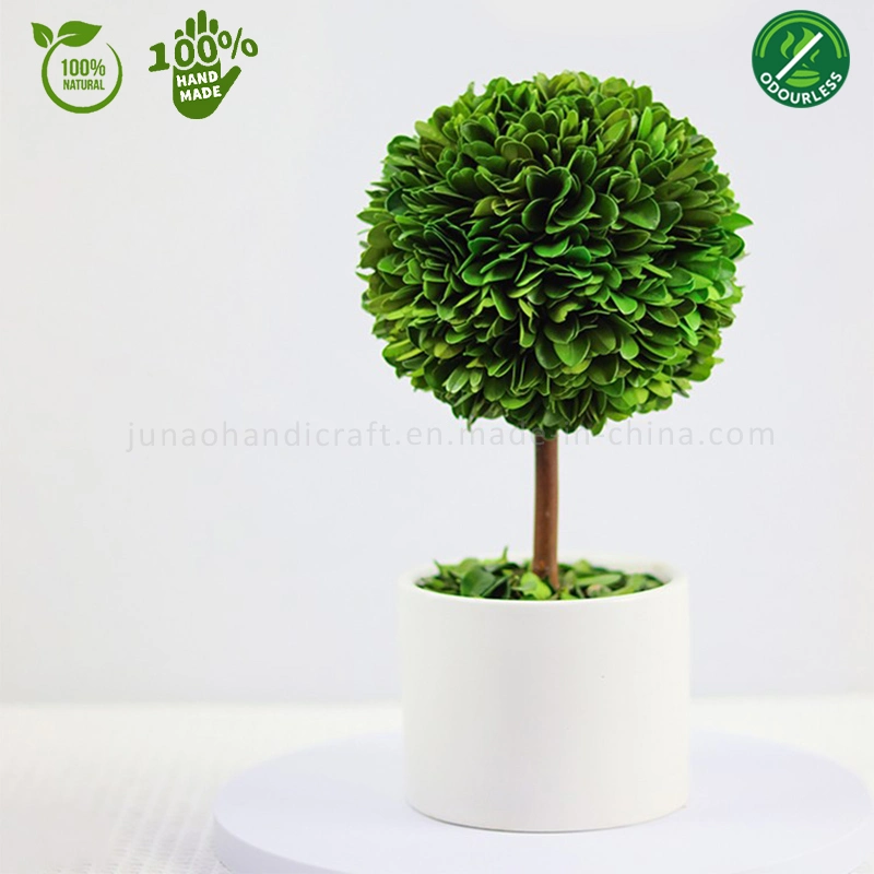 100% Natural Preserved Boxwood Topiary Bonsai White & Black Column Potted Plant