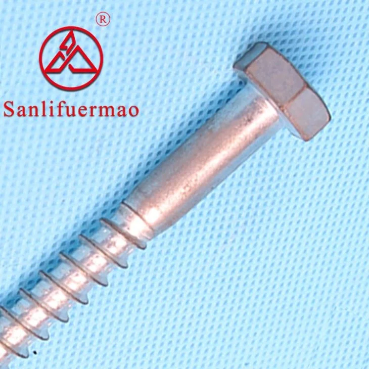 Hot-Dipped Galvanized Hex Lag Screws Flat Wood Screws, Forging, Fastener, Power Fitting