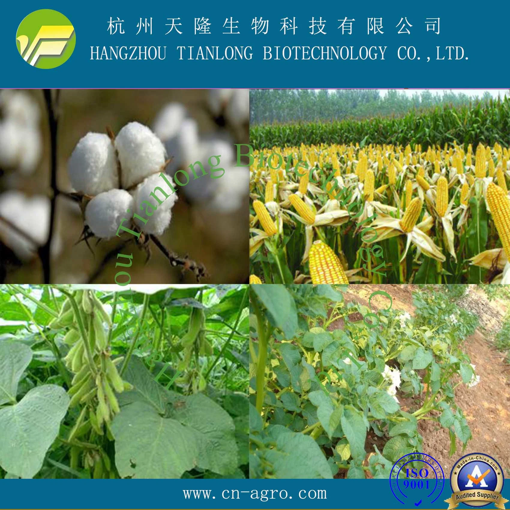 Plant Growth Regulator  Gibberellic Acid 20%SP, 40%SP