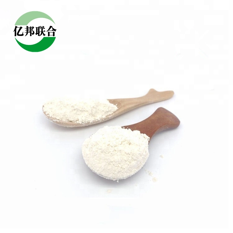 La construction Grade HPMC l'hydroxypropylméthyl cellulose en poudre viscosité cps - CPS 1000 200000