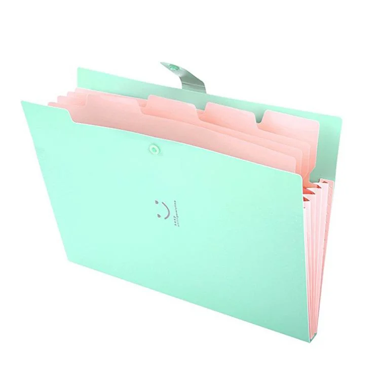 Fancy A4 Waterproof Accordion Documetn Folder Expanding File Folder