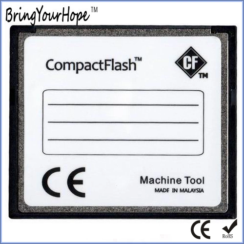 100X Compact Flash 256MB CF Memory Card (256MB CF)