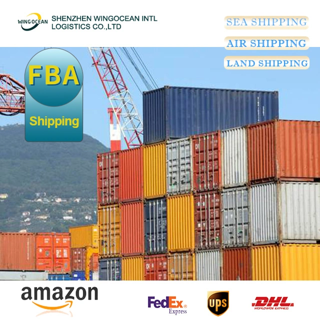 Más barato y más rápido Transporte marítimo Forwarder cooperar Logística Servicio de Forwarder Envío desde China a EE.UU./ Canadá/ Europa