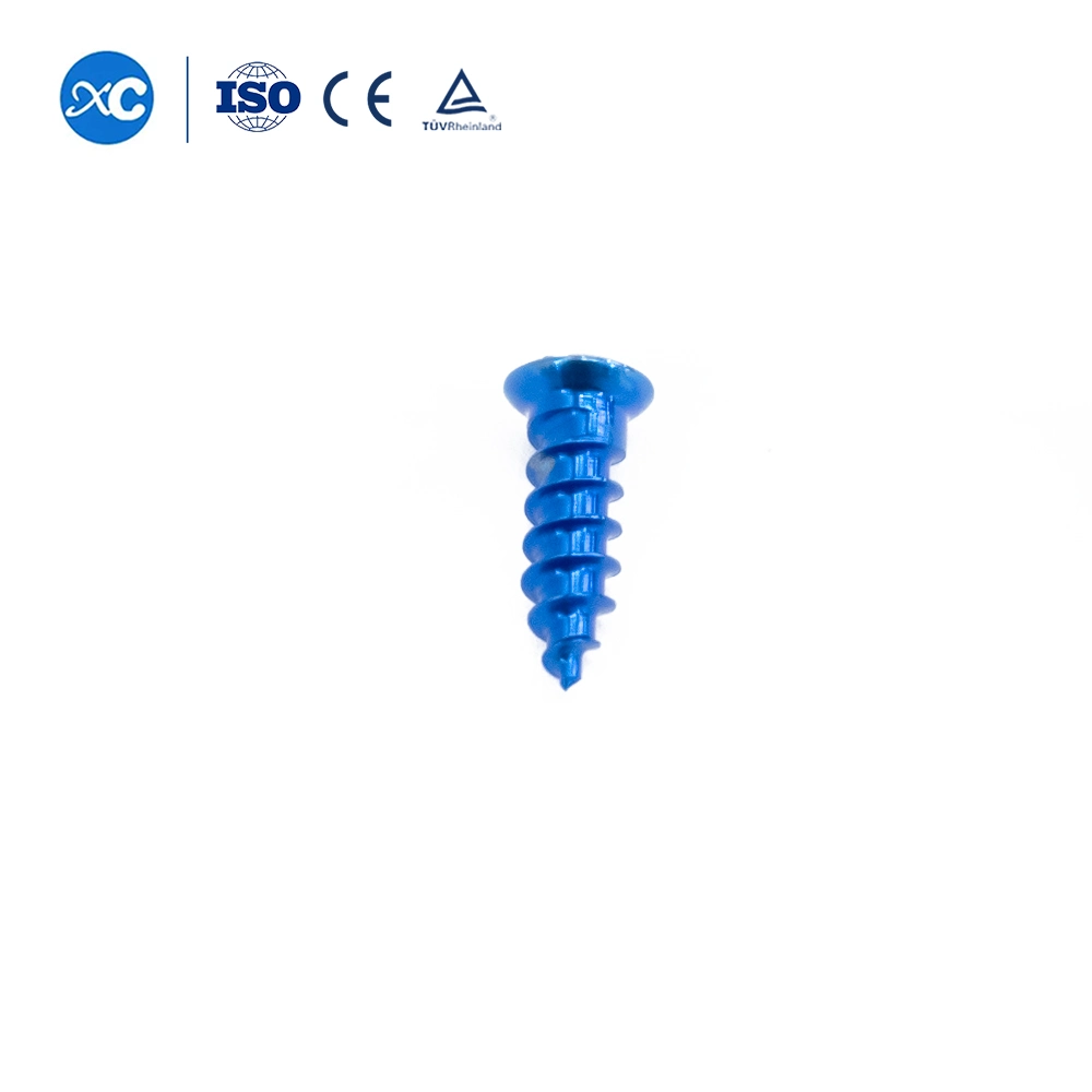 Orthopedic Surgical Bone Locking Screw for Maxillofacial Skull Plate Fixation