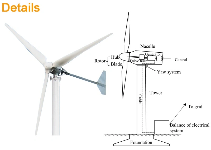 Wind Power Generation System Wind Turbine Generator Wind Energy Generator 10kw 20kw