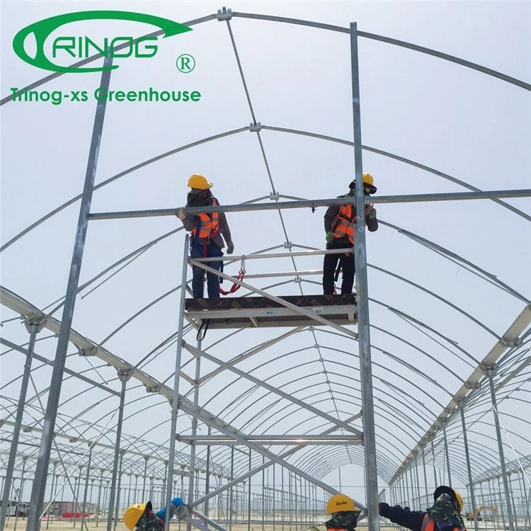 Low Cost Agricultural Multi-Span Film Greenhouse with Shading System for Vegetable Growing