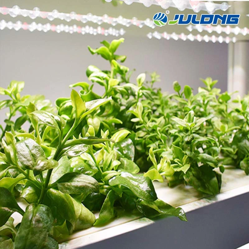Indoor Intelligent Soilless Cultivator Planting Machine Hydroponics System for Greenhouse Vegetable