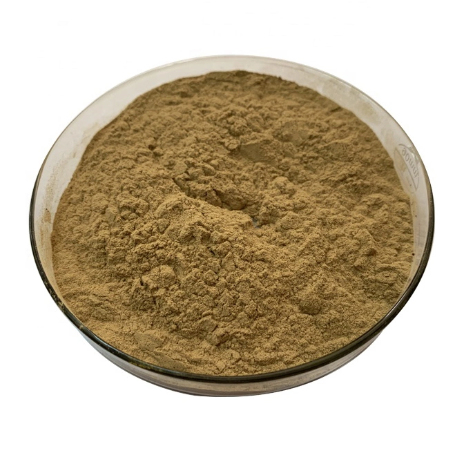 SOST China Product Wholesale/Supplier Plant Powder Yucca Schidigera Extract