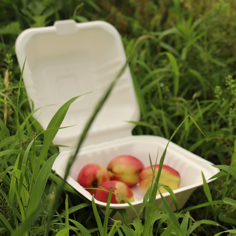 Ecofriendly 6X6inch Burger Sugarcane Bagasse Disposable Biodegradable Envases CT5 Takeaway Food Container