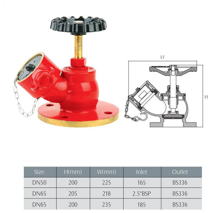 El aterrizaje de fuego tipo oblicua de la válvula de admisión de BSP de 2,5" x BS336 Outlet