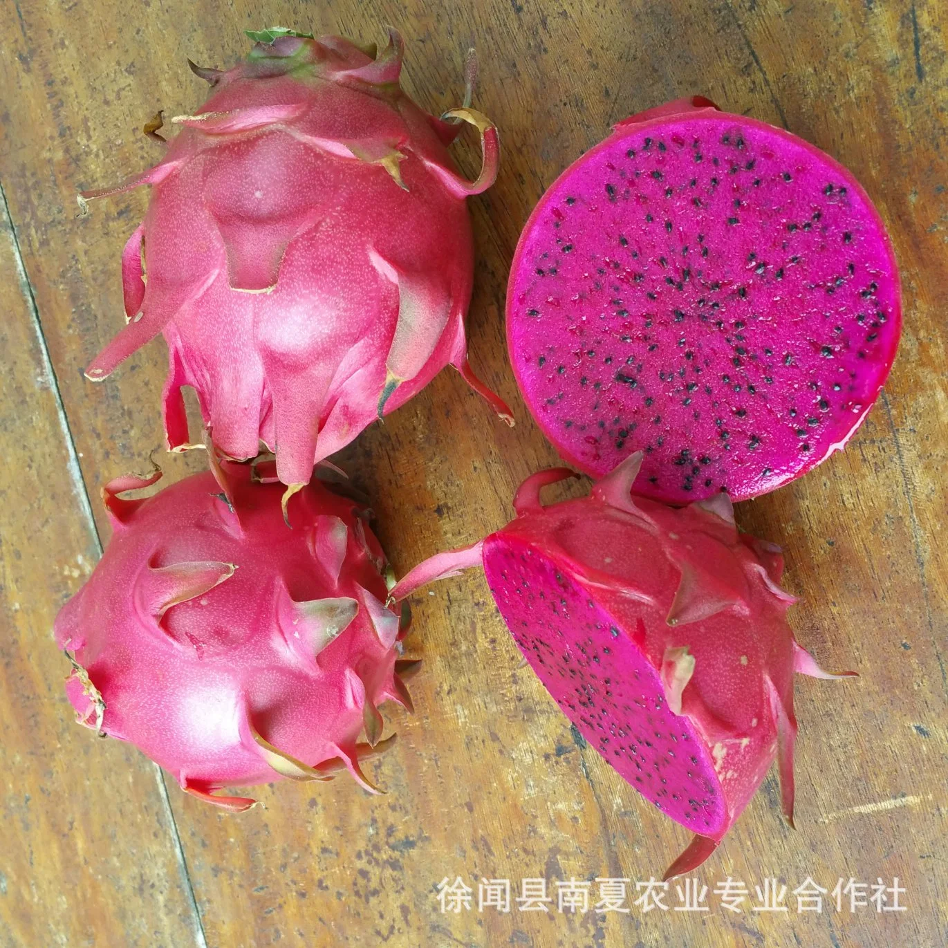 100% Natural Juice Powder 4: 1~20: 1 Dragon Fruit Extract