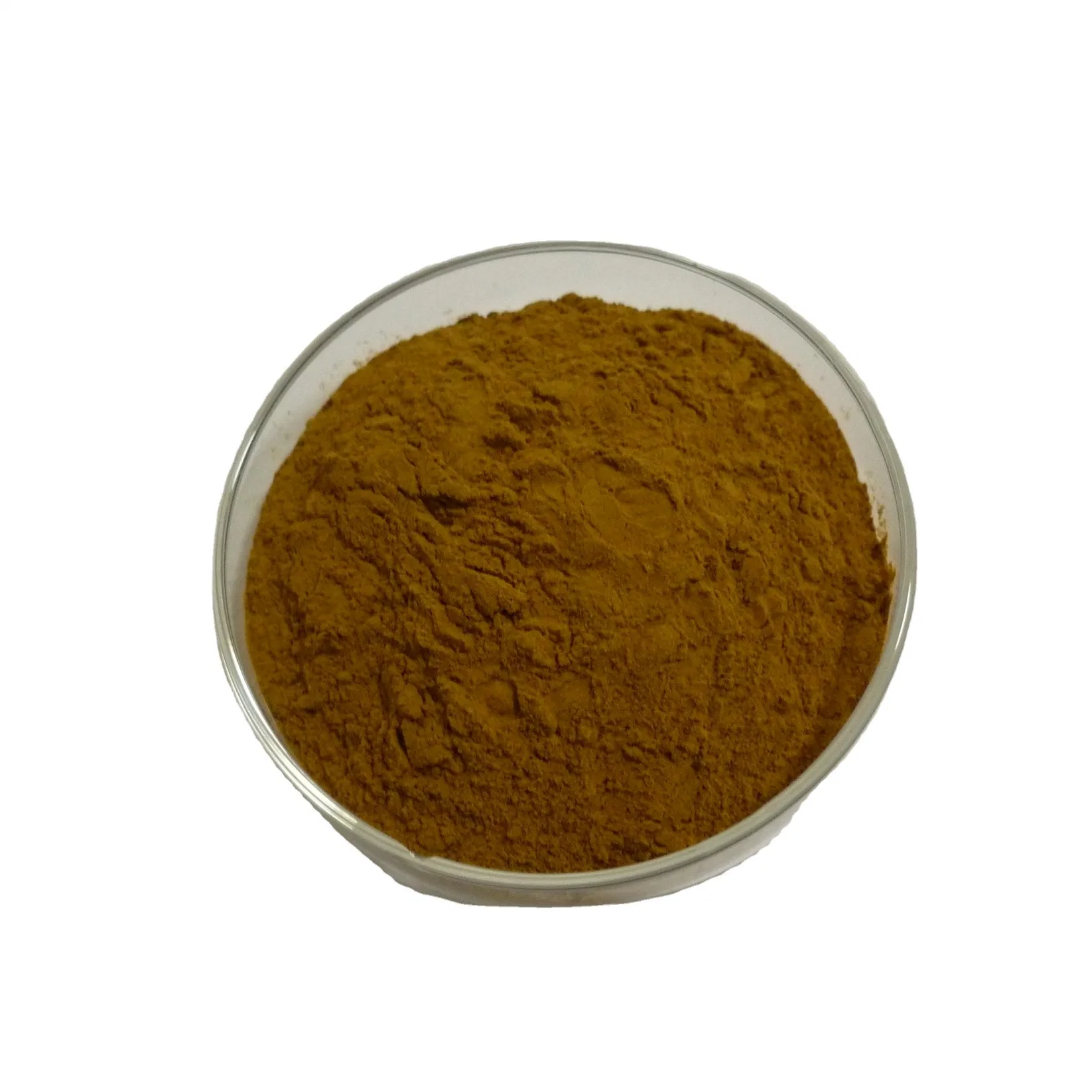 Green Tea Extract Polyphenol 98%