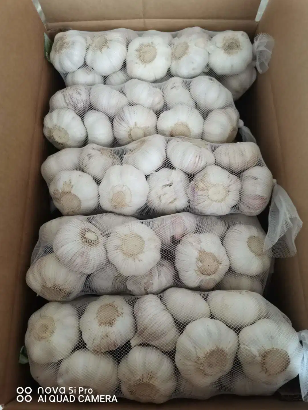 1kg X 10 Garlic 10kg Carton / Normal White Garlic