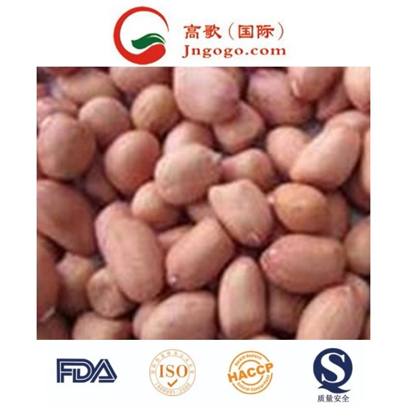 New Crop for Exporting Red Skin Peanut Kernel Peanut in Shell