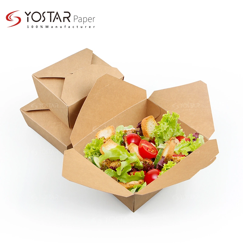 Manufacturing Biodegradable Takeaway Kraft Food Paper Box for Hot Food Packaging