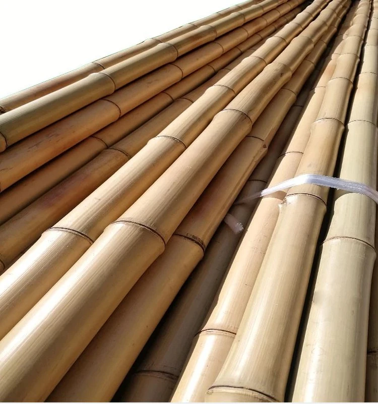 Large Bamboo Pole/Moso Bamboo Cane for Decoration and Construction