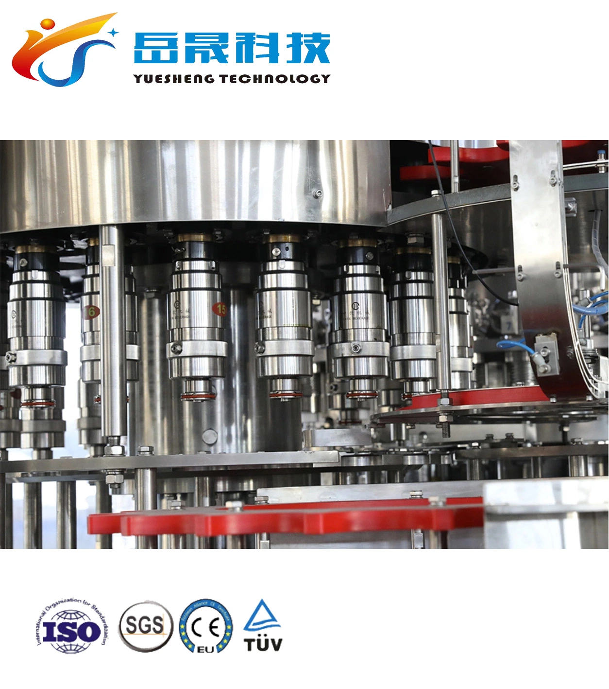 Automated Bottle Blowing Filling Capping Sealing Machine