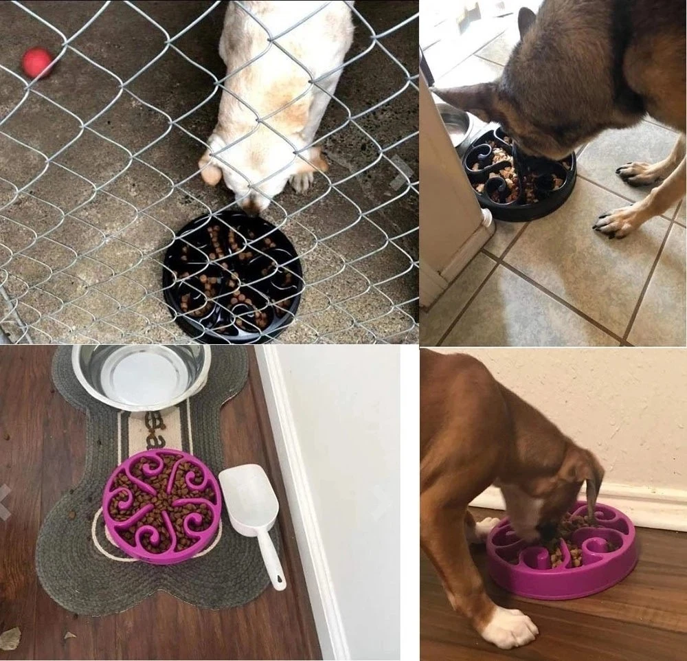 Plastic Pet Bowl