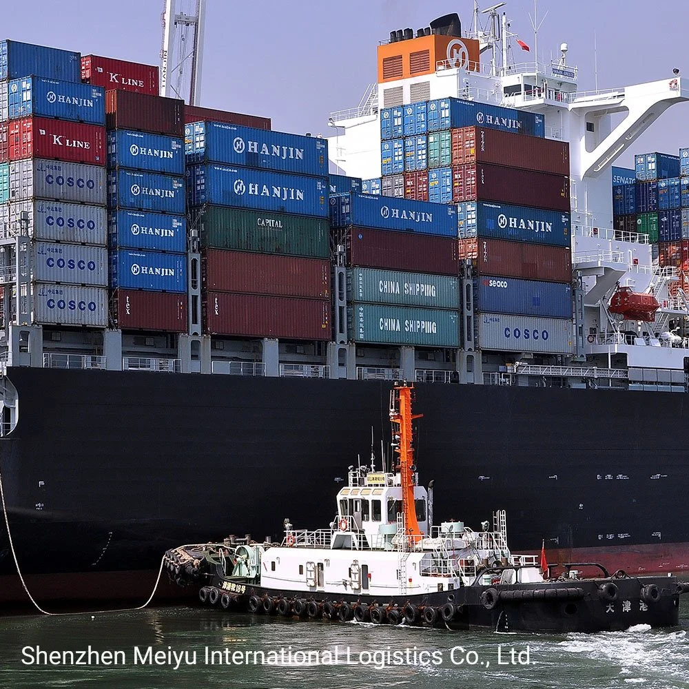 China Top Shipping Agent DDU/DDP Sea Shipping to Australia