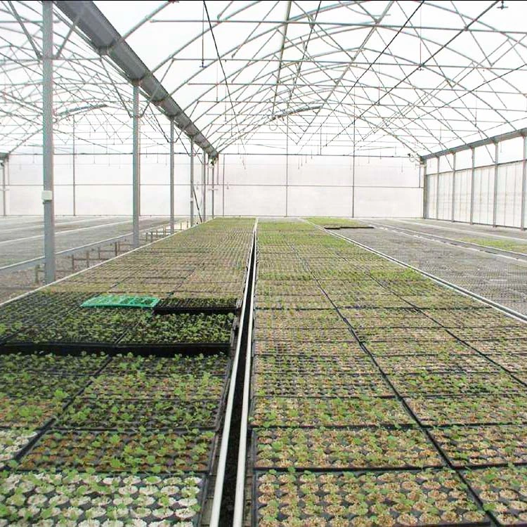 Customized Hot DIP Galvanized Steel Warm Poultry Farm Multi Span Garden House Greenhouse