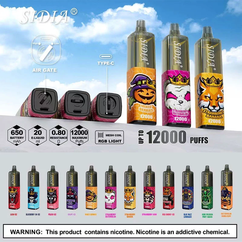 2023 Neueste Mesh Coil Einweg Vape Pen E-Cigarette 12000 Puffs Vovoon Zerstäuber leere Pod Großhandel OEM 12000 Puffs Elektronische Zigarette Vape