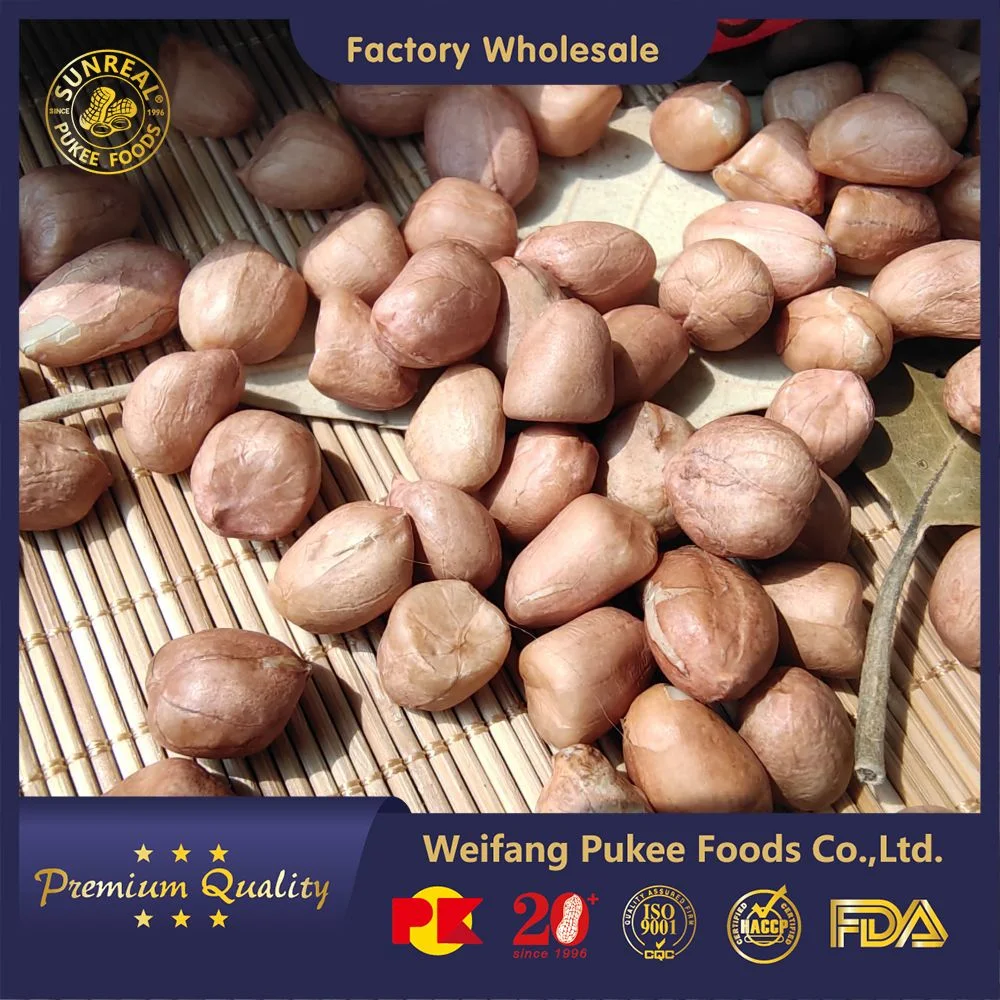 Raw Peanut Kernels/Hsuji Type 35/40 /Vacuum Bags&Cartons/for Frying/Snacks Materials