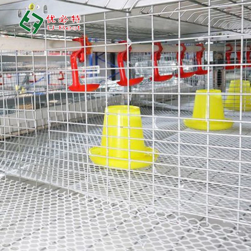 Automatic H/a Type Bird Broiler Chicken Battery Breeding Cages for Poultry Farm