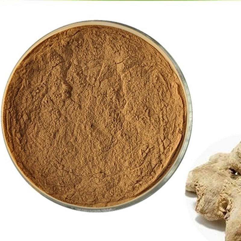 Factory Supply Natural Ginger Extract