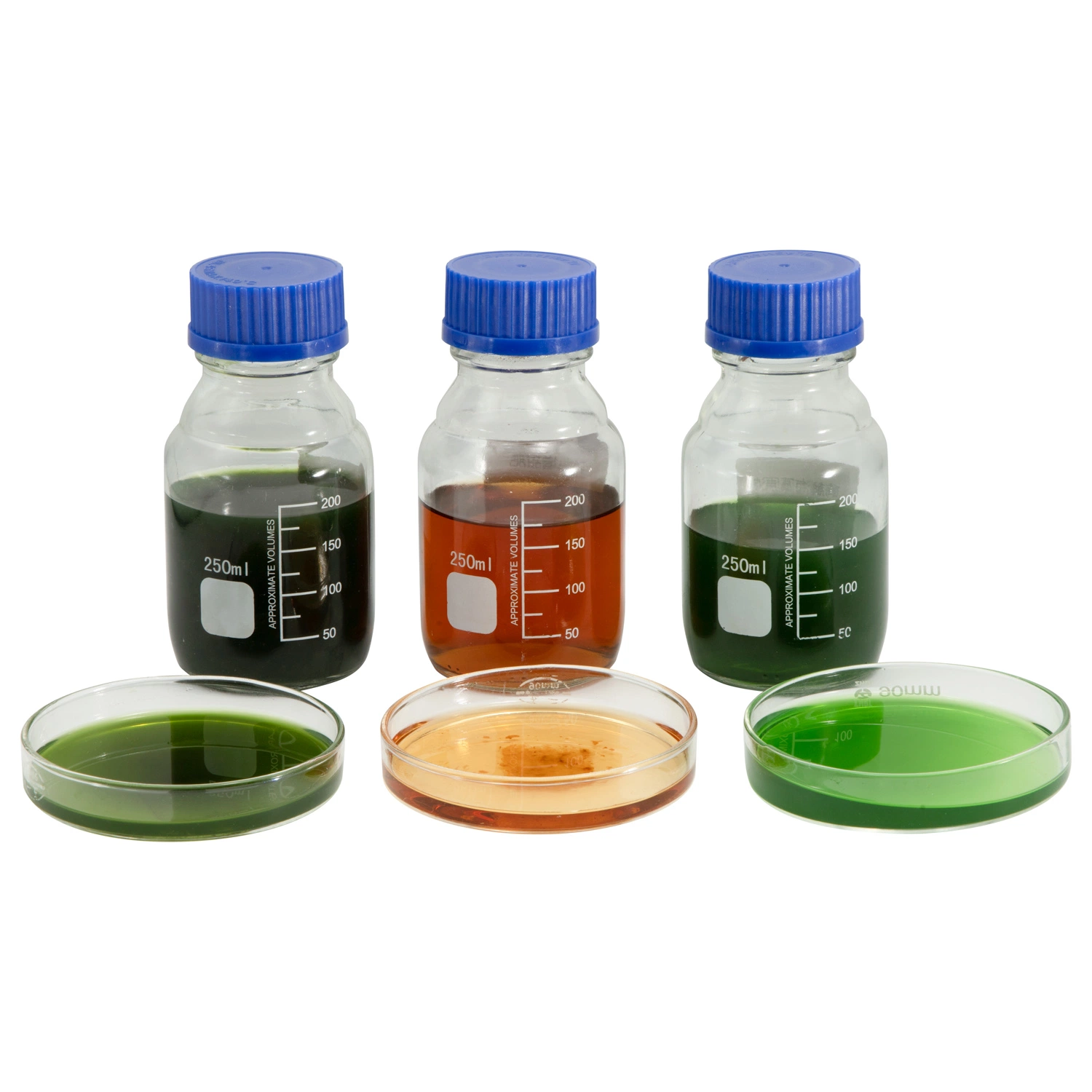 Bio-Dünger mit 100% reinem Algen-Extrakt Foliar Flüssig-Dünger Mischdünger