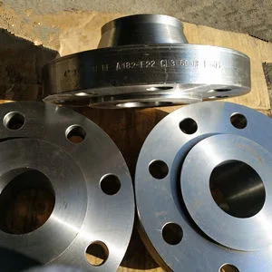 ASTM A182 F9 Alloy Steel Flanges