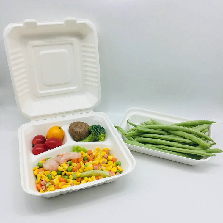 Wholesale/Supplier 3 Compostable Custom Logo Paper Bagasse Lunch Box