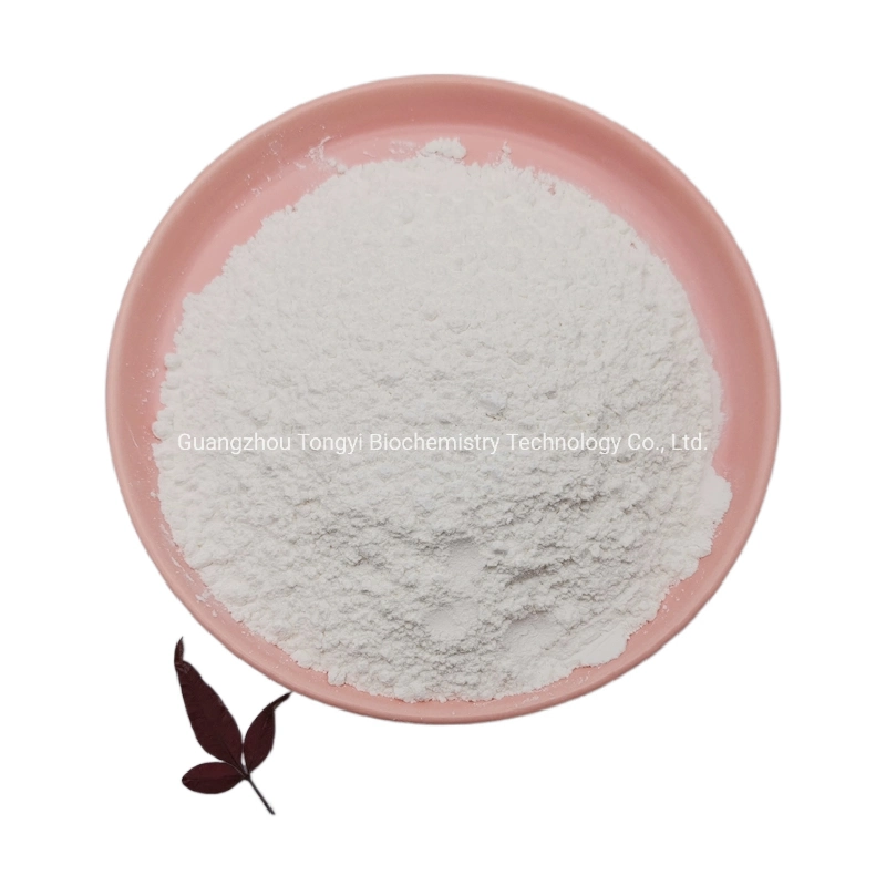 Manufacturer Supply High quality/High cost performance  CAS 137-08-6 D- (+) -Pantothenic Acid Calcium Salt